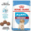 Royal Canin SHN Medium Junior 4 kg 3