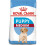 Royal Canin SHN Medium Junior 4 kg 2