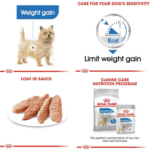 Royal Canin ROYAL CANIN Mini Light Weight Care - 3kg 2