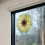Rentokil Fw35 Window Fly Traps x4 5
