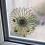 Rentokil Fw35 Window Fly Traps x4 4