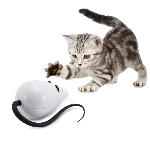 PetSafe PetSafe FroliCat, Interactive, RoloRat Automatic Cat Teaser, Light up, Random movement, Active, exercise Cat Toy 2