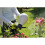 Hozelock Hozelock Pressure Sprayer "Pure" 2 L 4