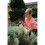 Hozelock Hozelock Pressure Sprayer "Pure" 2 L 5