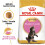 Royal Canin FBN Killing Maine Coon 4 kg 2