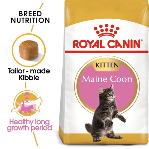 Royal Canin FBN Killing Maine Coon 4 kg 1