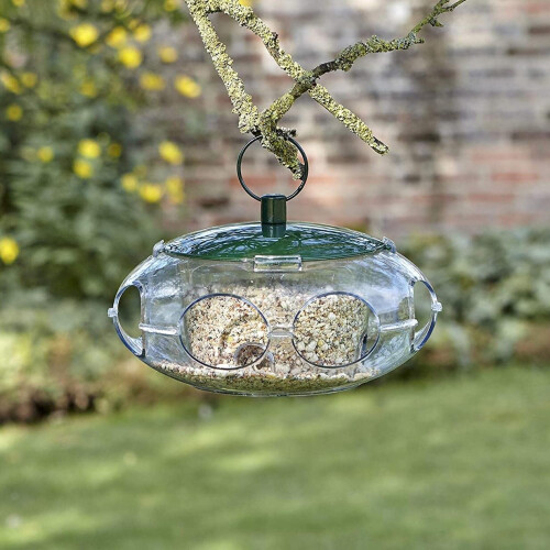 Peckish Peckish Bird  Seed Feeder for Small Birds 1