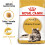 Royal Canin Royal Canin FBN Maine Coon foder 10 kg 2