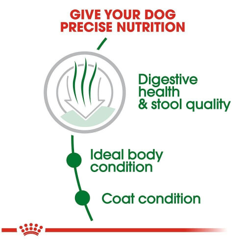 Royal Canin Royal Canin CCN Mini Digestive Care 3 kg 2