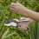 Spear & Jackson Spear & Jackson 6458RS Ratchet Secateurs with Twist Handle 3