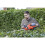 Flymo Flymo Easicut Cordless 20v Hedge Trimmer 42cm/17in 5