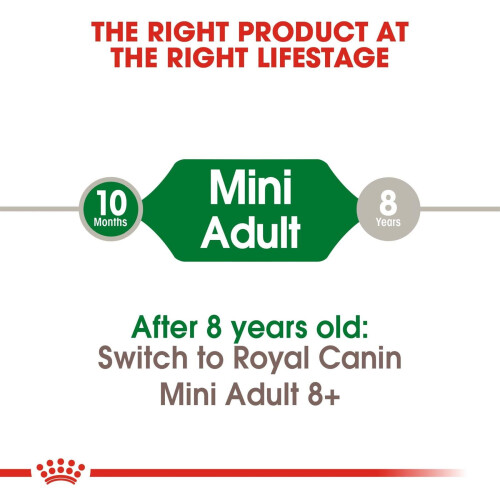 Royal Canin Royal Canin Mini Dog Food - 2kg 2