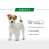 Royal Canin Royal Canin Mini Dog Food - 2kg 5