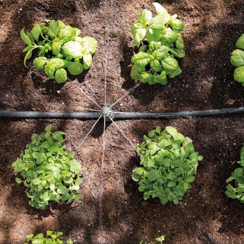 Hozelock Hozelock Automatic Watering Kit for Borders 2