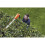 Flymo Flymo Sabre Cut C-Link Cordless 20v Hedge Trimmer 42cm/17in 4