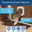 PetSafe PetSafe Microchip Cat Flap White Easy Program Kitten Gate Door PPA19-16145 2