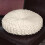 (Pink) Colourful Round Seat Cushions Home 9