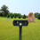 Solar Battery Repellent Scarer Fox Cat Repeller Ultrasonic Deterrent 6
