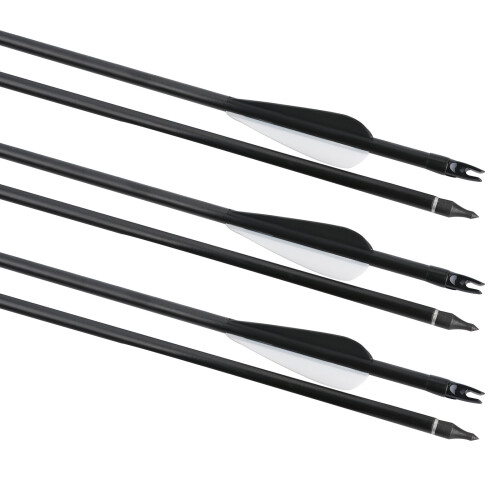 Fibreglass Carbon Arrows Grade Archery Arrow With Screw Tip Broadhead 1