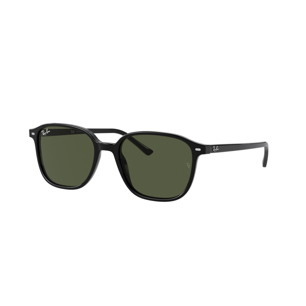Ray-Ban Leonard Rb2193 901/31 Black/Green Glasses