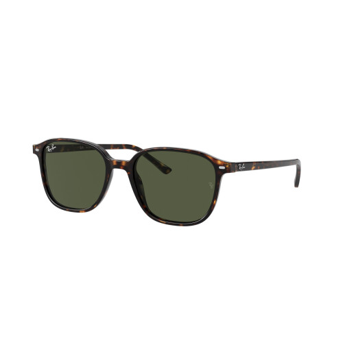Ray-Ban Ray-Ban Leonard RB2193 902/31 Havana/Green Glasses