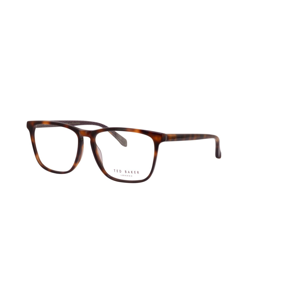 Ted Baker Carlson Tb8208 106 Tortoise Glasses
