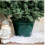 Wham Christmas Tree Pot Planter - For Real & Artificial Trees up to 7ft Tall 2