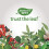 Nature's Way Hydraplenish with MSM, 60 Vcaps 7