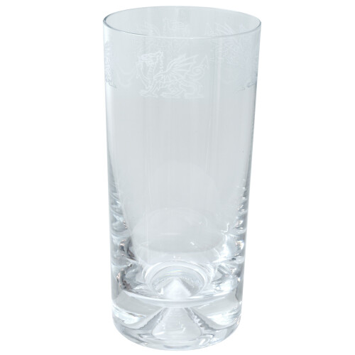 Animo Glass Welsh Dragon Sandlblast Engraved Highball