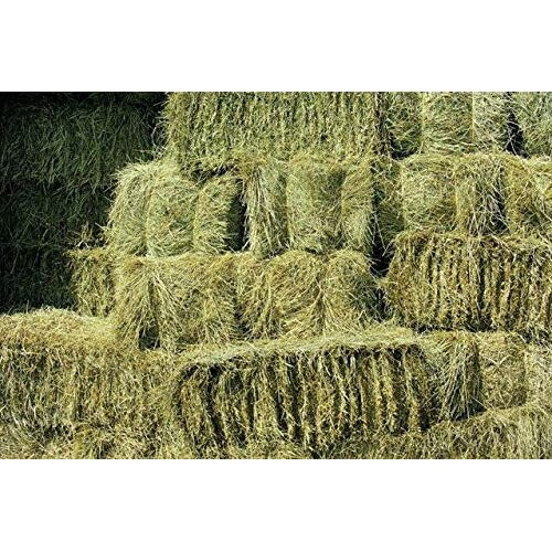 Shorefields Fresh Meadow Hay - Chemical-Free Large Rabbit & Small Animal Bale, 17-22kg, 100x50x40cm