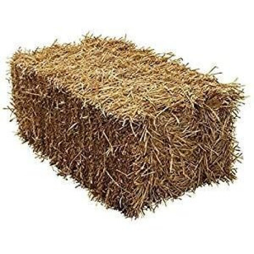 Shorefields Barley Straw Full Bale - 100x50x40cm - 15kg -20kg Feed Quality, Compact, Fresh, Packaged Straw