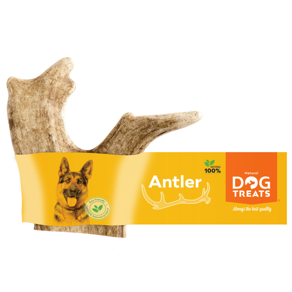 (Size Large) Natural Dog Treats Fallow Deer Antler for Dog Chew Toy Bone Durable Indestructible Chew Toys for Dogs