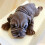3D Dog Shape Silicone Mold Mousse Cake Chocolate Jelly Baking Mould Decor Tool 7