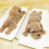 3D Dog Shape Silicone Mold Mousse Cake Chocolate Jelly Baking Mould Decor Tool 6