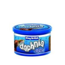 King British Daphnia Treats 18g (Pack of 6)