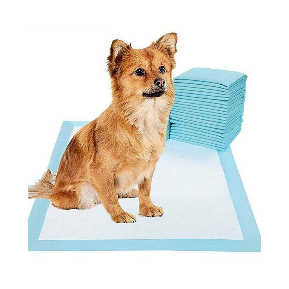 50pcs Large Puppy Training Pads Toilet Pee Wee Mats Pet Dog Cat Pad 60cm*45cm