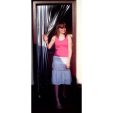 (All Silver) Slat Type Door Curtain,Bug Blind,Fly Blind,Strip Blind