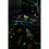Supersonic, Outer Space Duvet Cover Sets 2