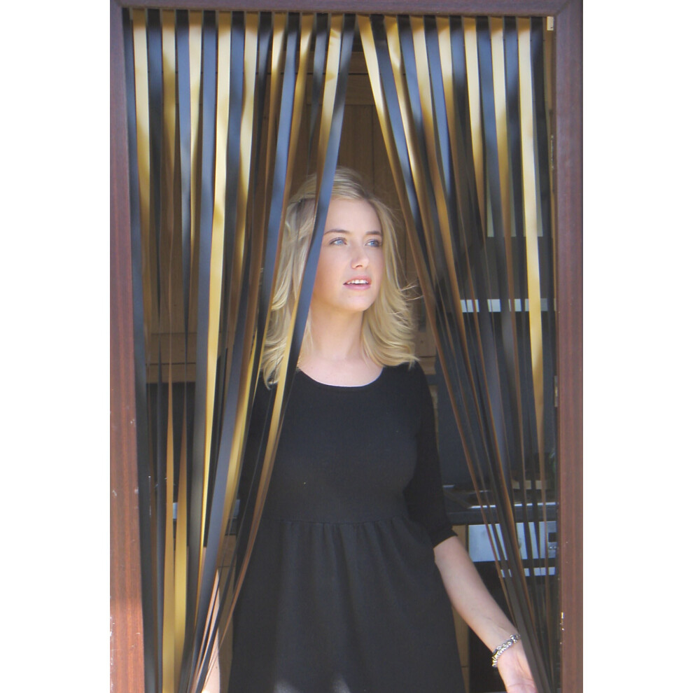 Holland Plastics Original Brand ( & Black) Heavy Duty Strip Blind/Fly Blind 80Cm Wide X 200Cm Drop Gold/Black