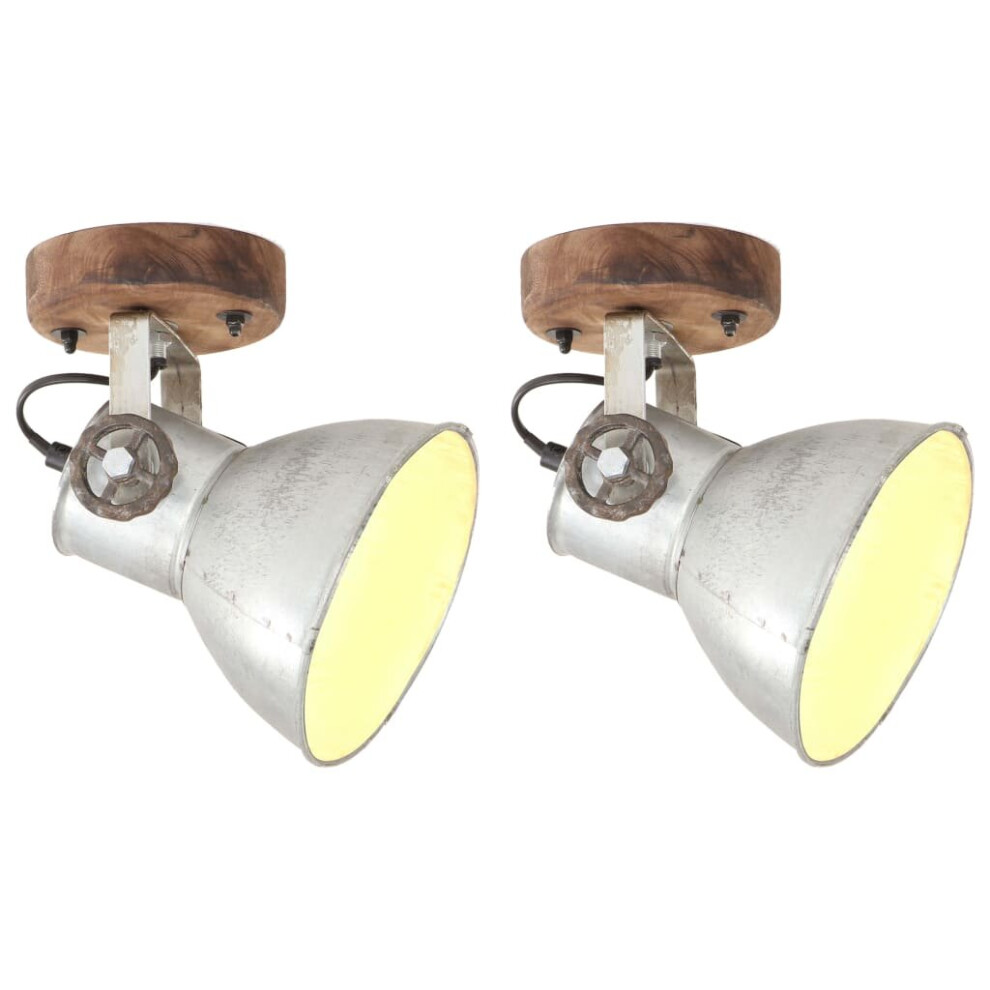 vidaXL 2x Industrial Wall/Ceiling Lamps Silver E27 Bedside Light Living Room