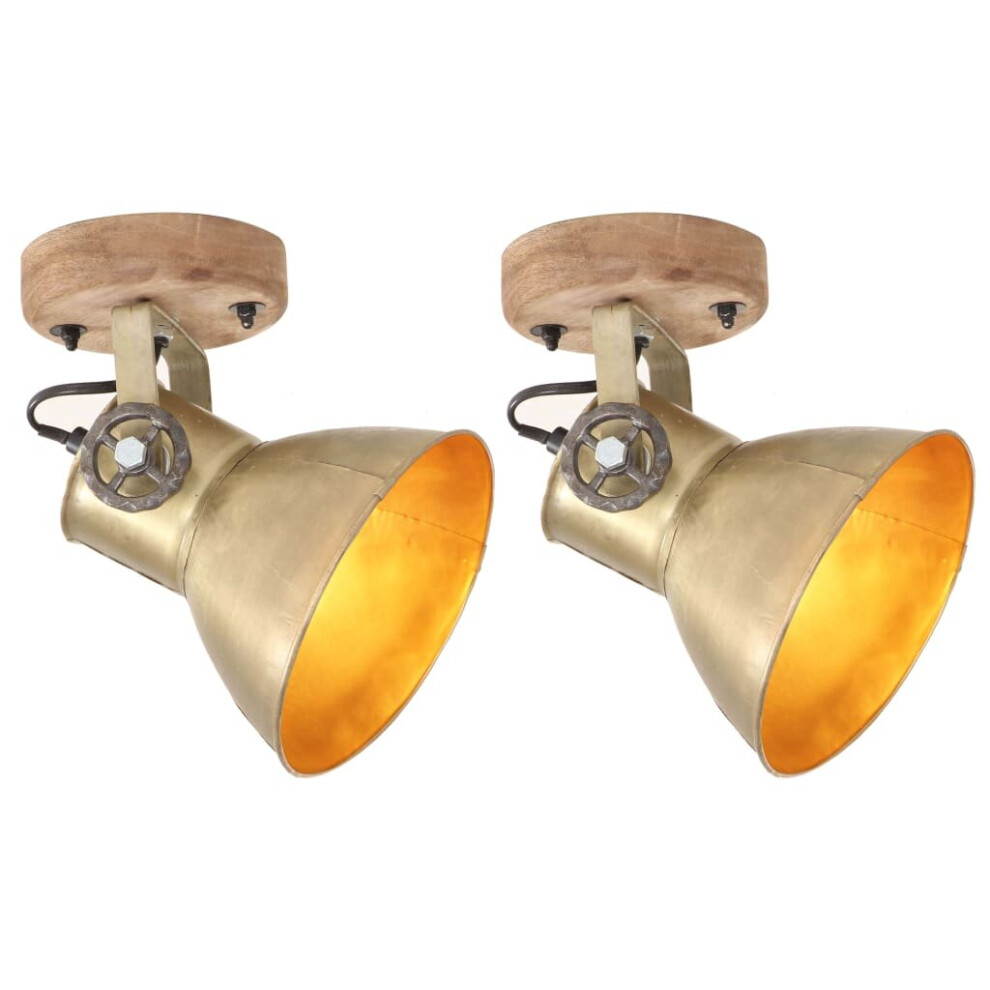 vidaXL 2x Industrial Wall/Ceiling Lamps Brass E27 Bedside Light Living Room