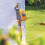 Hozelock Hozelock Water Timer Select Giallo e Grigio Regolatore di irrigazione automatica per esterni 2