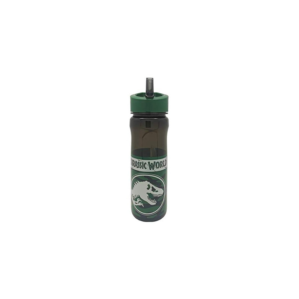 Jurassic World reusuable Water Bottle, polypropylene, Green, 600ml