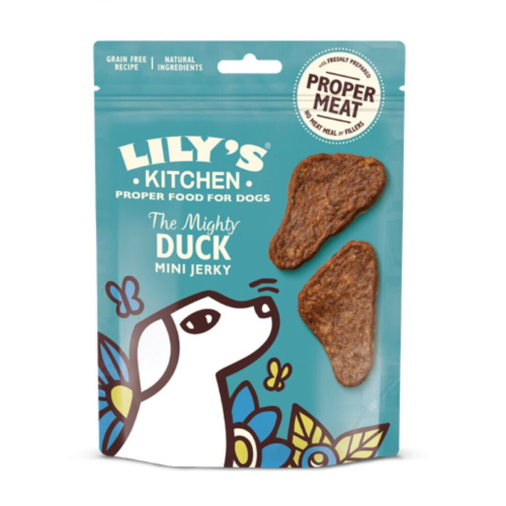 Lily's Kitchen Dog Treats The Mighty Duck Mini Jerky 70G (Pack Of 8)