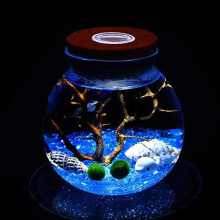 LED Aquarium Marimo Kit-Globe Glass Jar Blue Stones Sea Fan