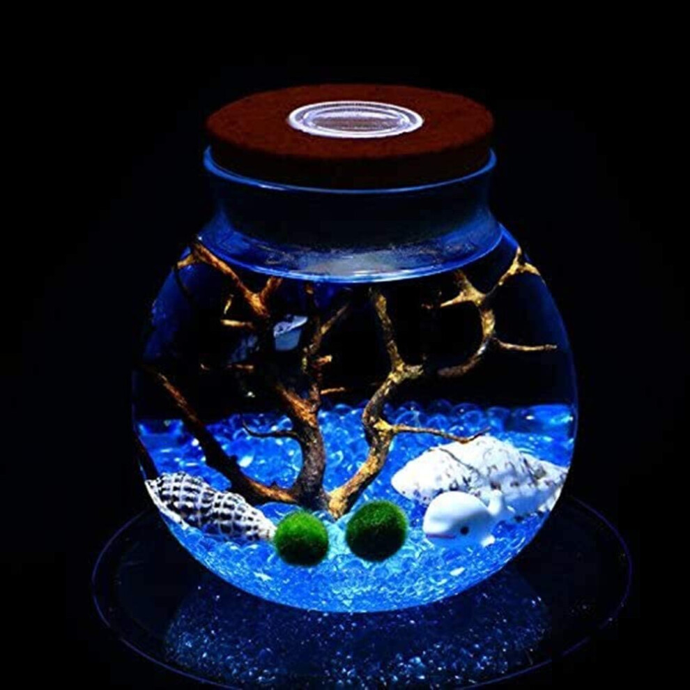 LED Aquarium Marimo Kit-Globe Glass Jar Blue Stones Sea Fan