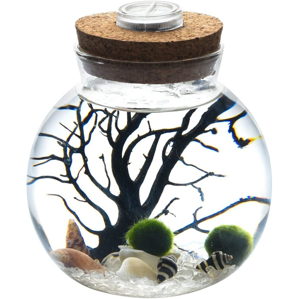 NewDreamWorld White Crystal LED Marimo Aquarium Kit Glass Bowl