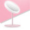Ranpo CZHONG-Makeup Mirror With Touch LED Dimmable Lighting Vanity For Stage Table 12
