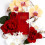 Elizabeth Arden Porta Rossa 5