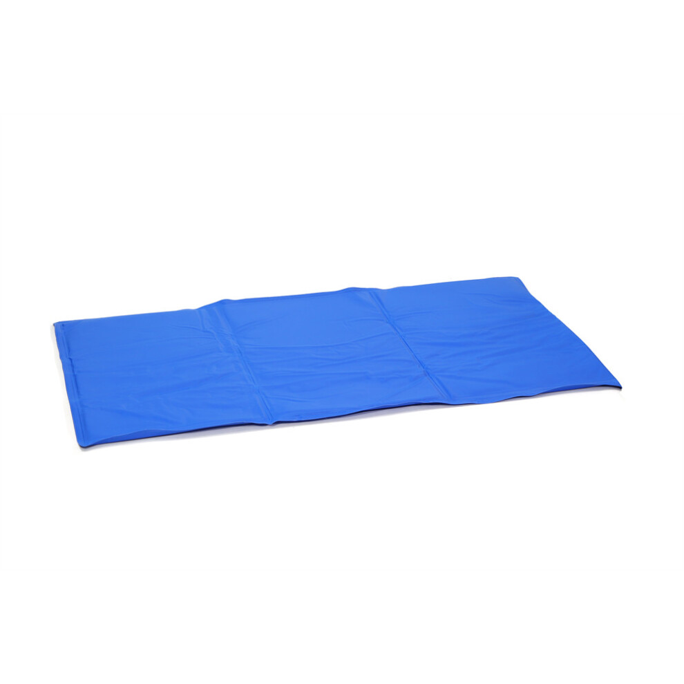 Streetwize Accessories Pet Cool Mat 90*50Cm